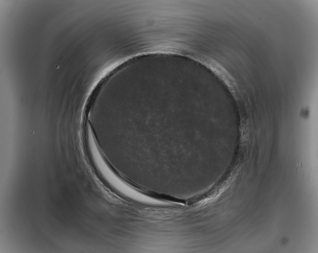X0000099291077200805090924