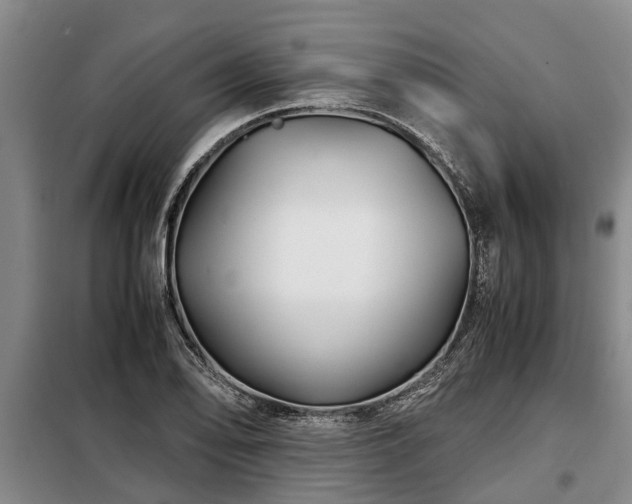 X0000099291078200805090924