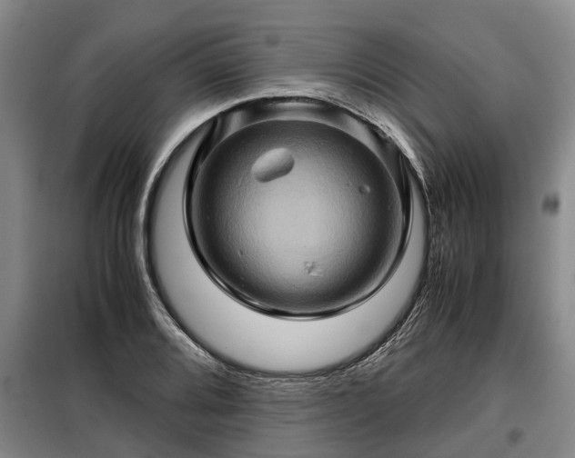 X0000099291080200805090924
