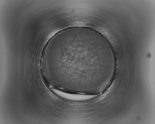 X0000099291081200805090924