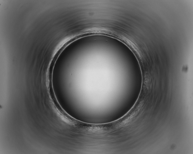 X0000099291082200805090924