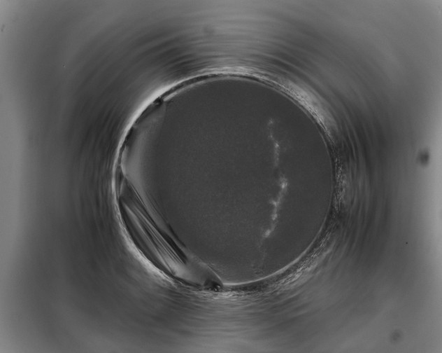 X0000099291084200805090924