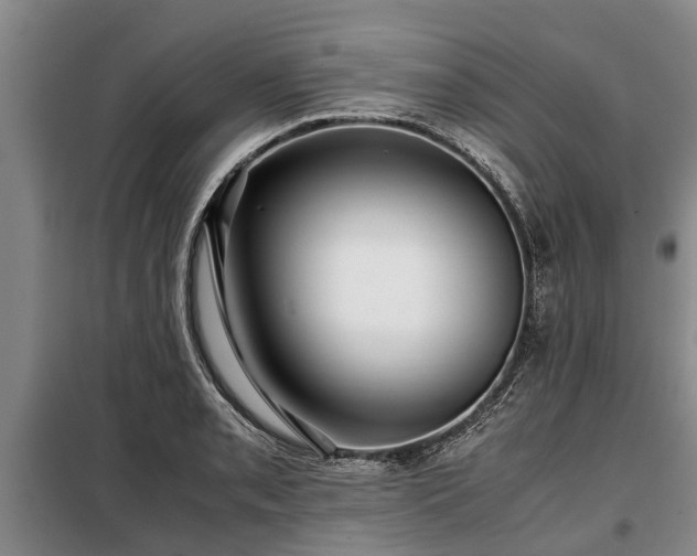 X0000099291085200805090924
