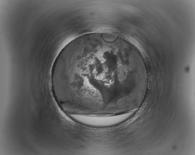 X0000099291087200805090924