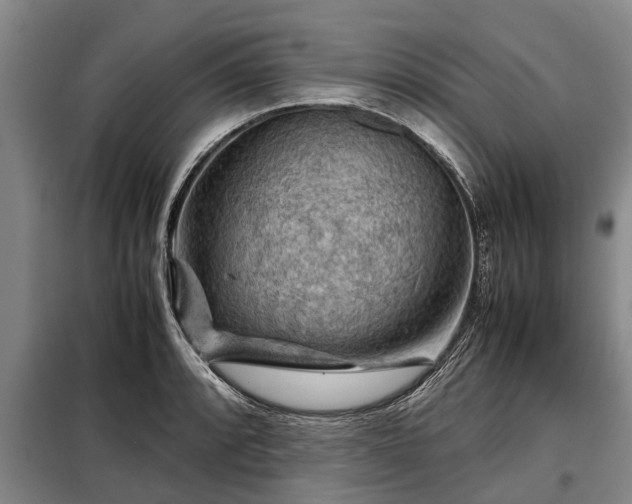 X0000099291088200805090924