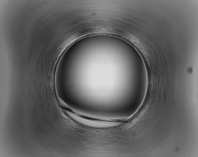 X0000099291089200805090924