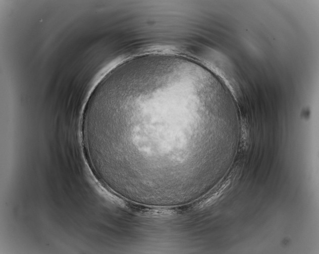 X0000099291090200805090924
