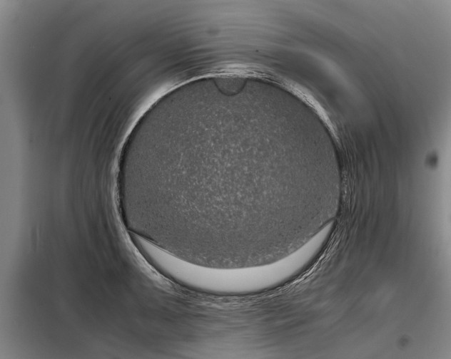 X0000099291091200805090924