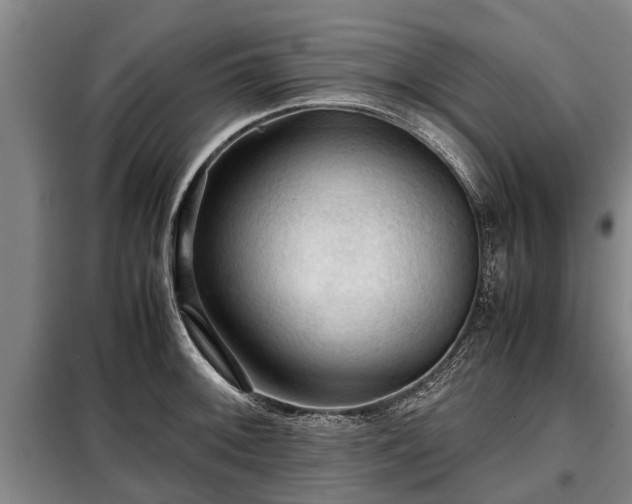 X0000099291092200805090924