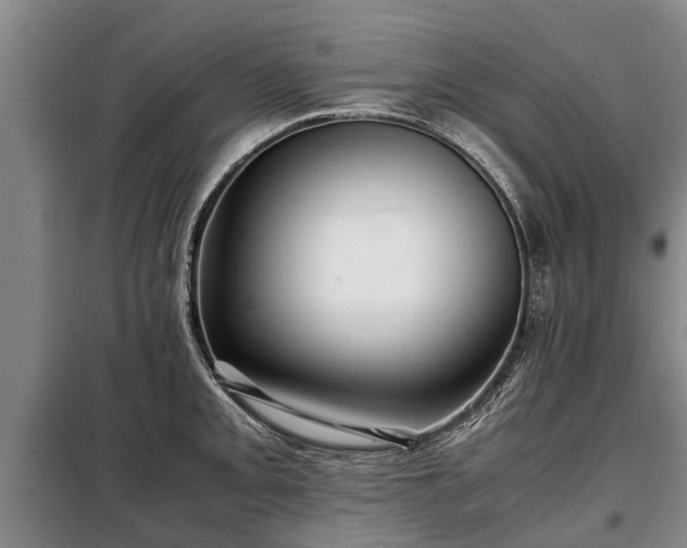 X0000099291093200805090924