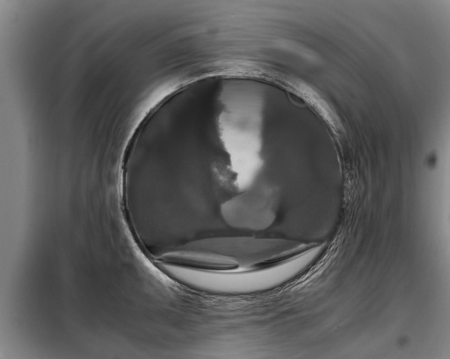 X0000099291095200805090924