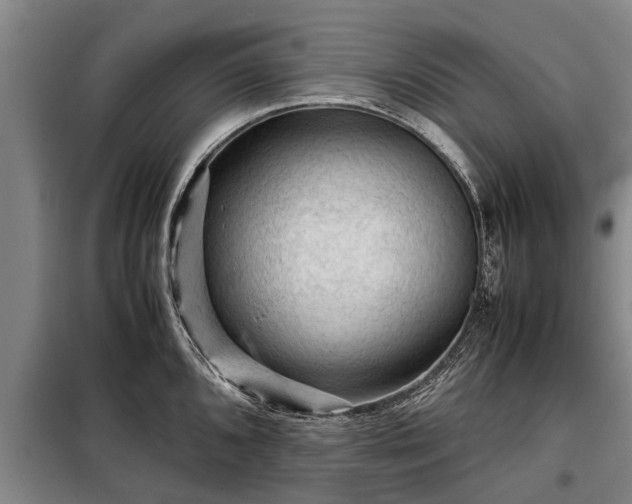 X0000099291096200805090924