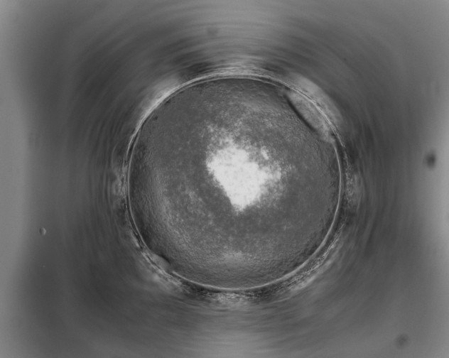 X0000099291097200805090924