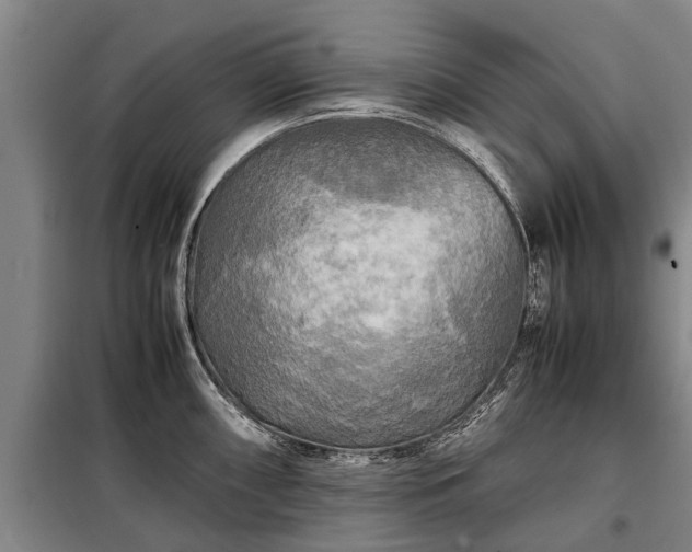 X0000099291098200805090924