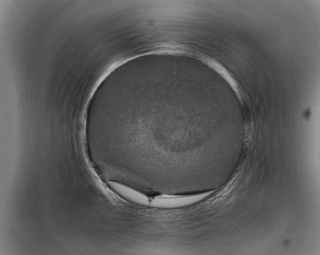 X0000099291099200805090924