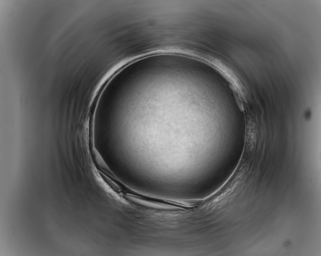 X0000099291100200805090924