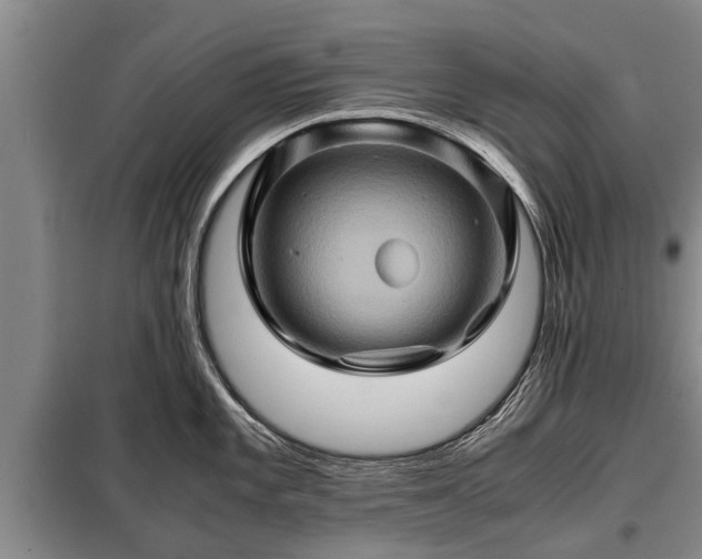X0000099291101200805090924