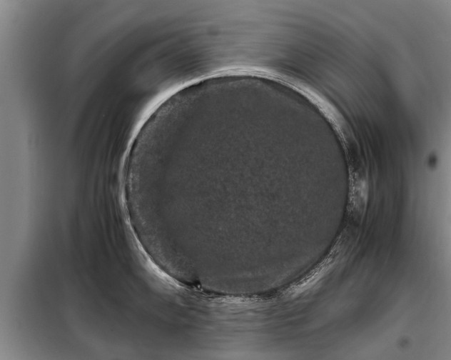 X0000099291102200805090924