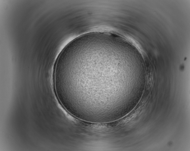 X0000099291103200805090924