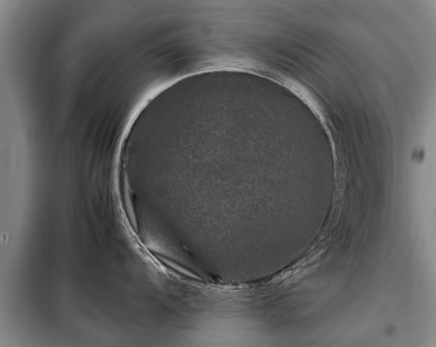 X0000099291104200805090924