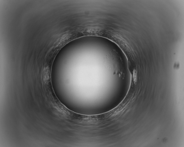 X0000099291107200805090923