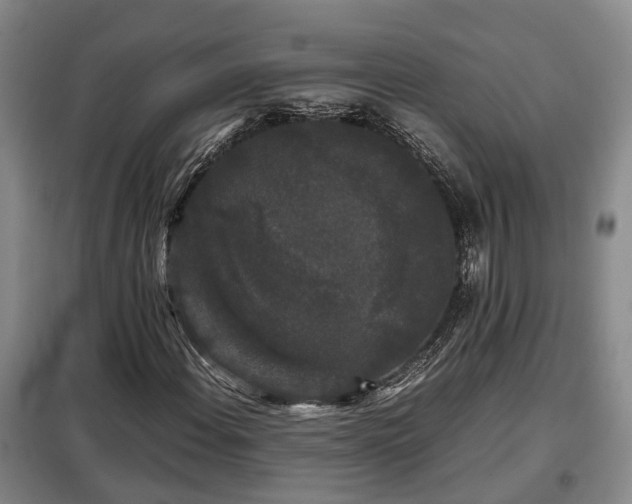 X0000099291108200805090923