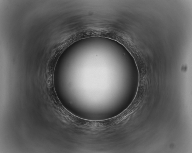 X0000099291109200805090923