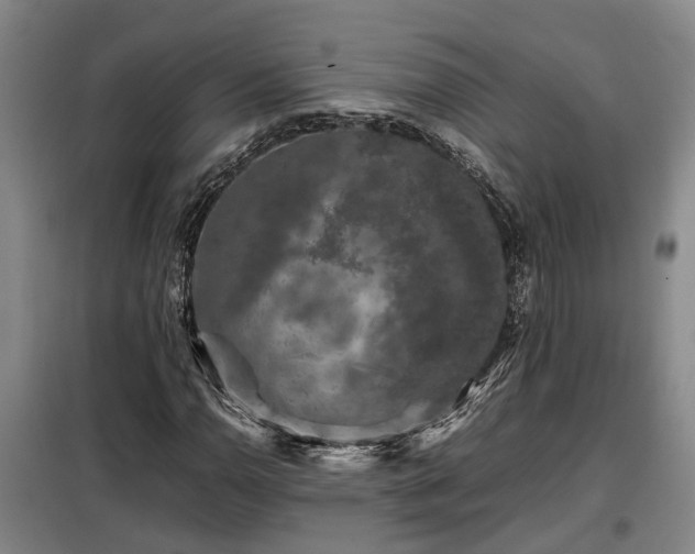X0000099291110200805090923