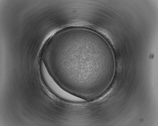 X0000099291114200805090923