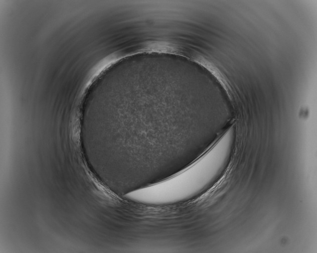 X0000099291115200805090923