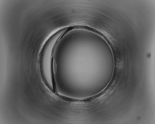 X0000099291118200805090923