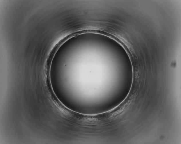 X0000099291119200805090923