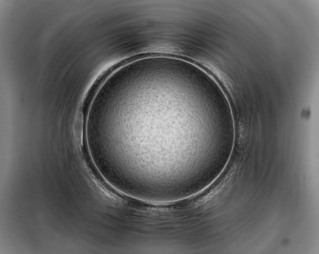 X0000099291123200805090923