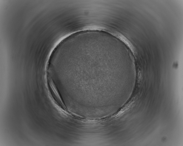 X0000099291124200805090923