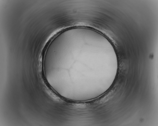 X0000099291126200805090923