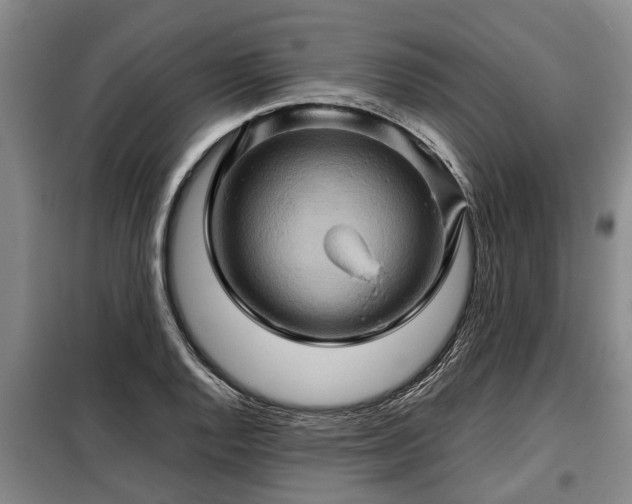 X0000099291128200805090923