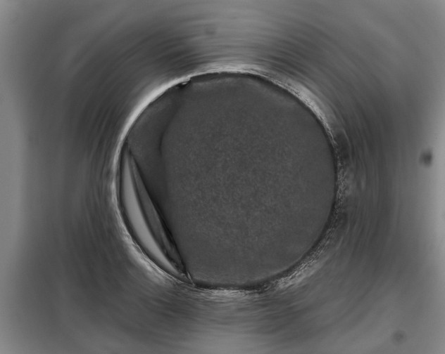X0000099291132200805090923