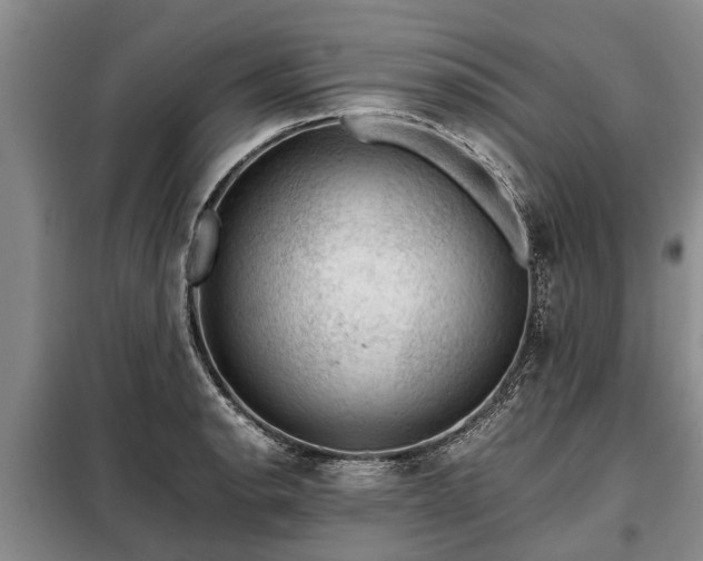 X0000099291134200805090923