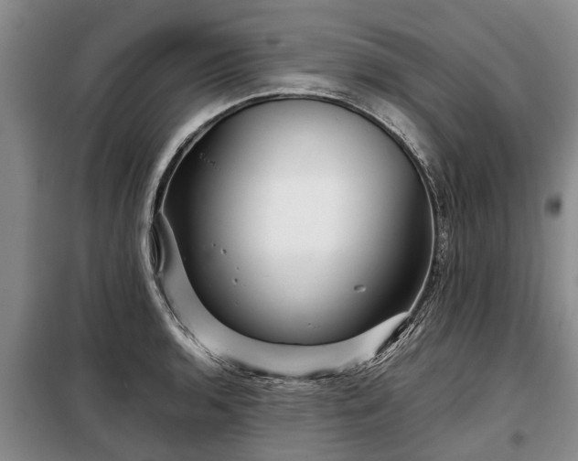 X0000099291136200805090923