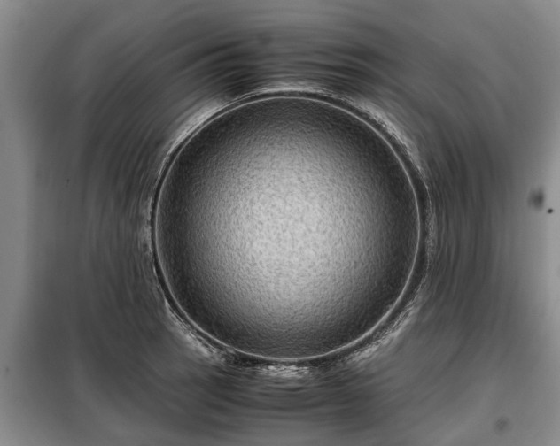 X0000099291137200805090923