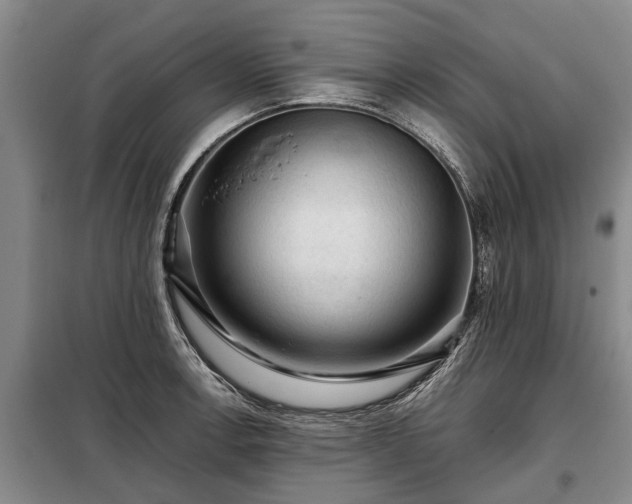 X0000099291138200805090923