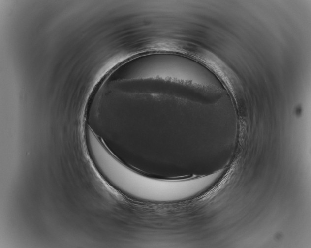 X0000099291141200805090924