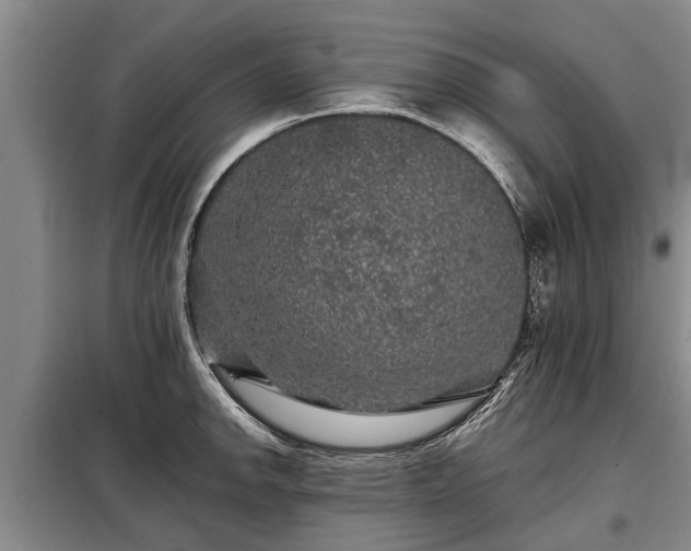 X0000099291142200805090924