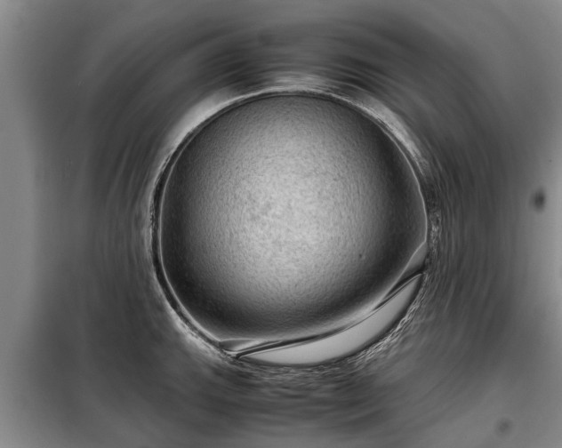 X0000099291143200805090924