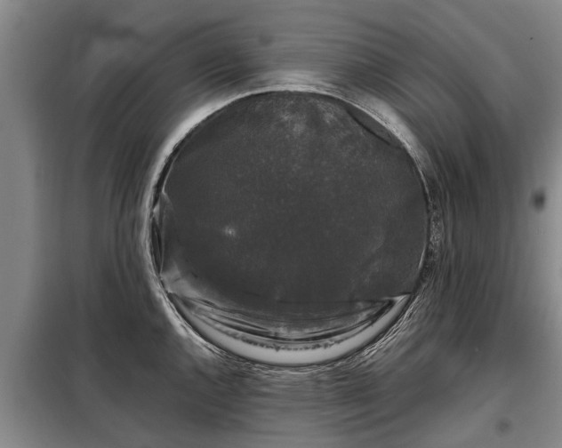 X0000099291144200805090924