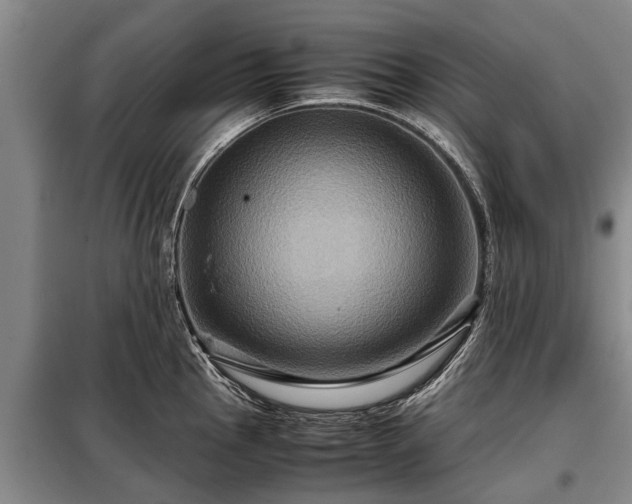 X0000099291145200805090924