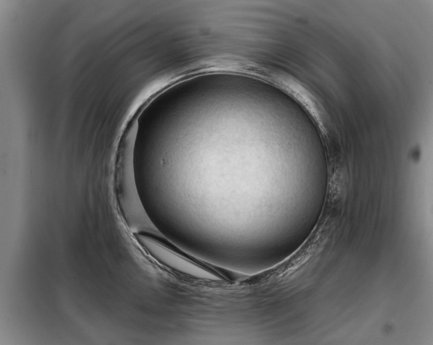 X0000099291146200805090924
