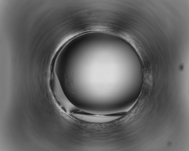X0000099291147200805090924