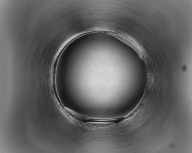 X0000099291148200805090924