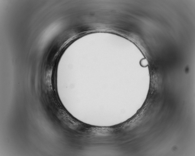 X0000099291150200805090924